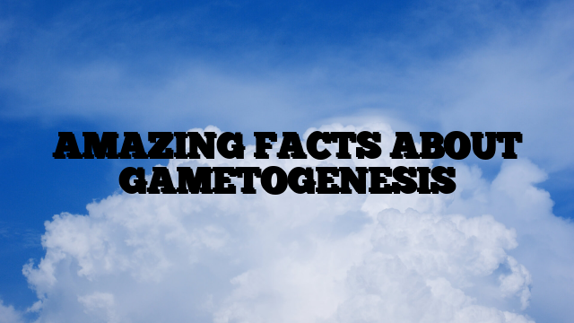 AMAZING FACTS ABOUT GAMETOGENESIS