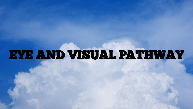 EYE AND VISUAL PATHWAY