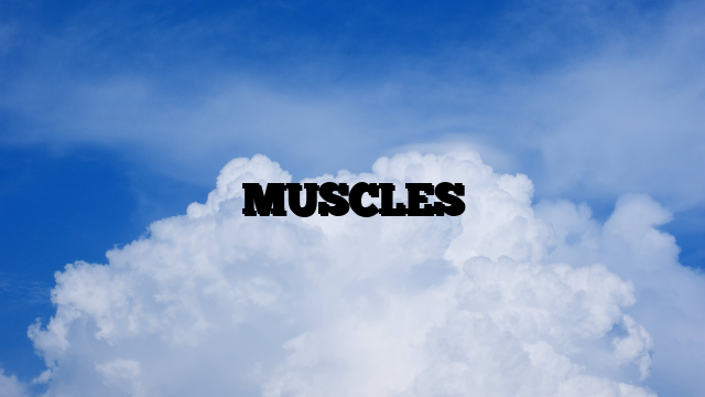 MUSCLES