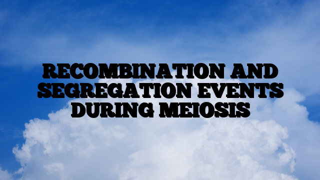 RECOMBINATION AND SEGREGATION EVENTS DURING MEIOSIS