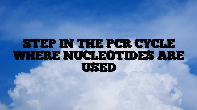 STEP IN THE PCR CYCLE WHERE NUCLEOTIDES ARE USED