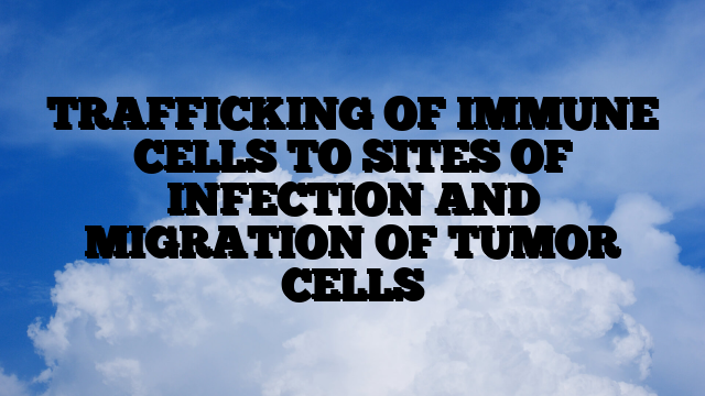 TRAFFICKING OF IMMUNE CELLS TO SITES OF INFECTION AND MIGRATION OF TUMOR CELLS
