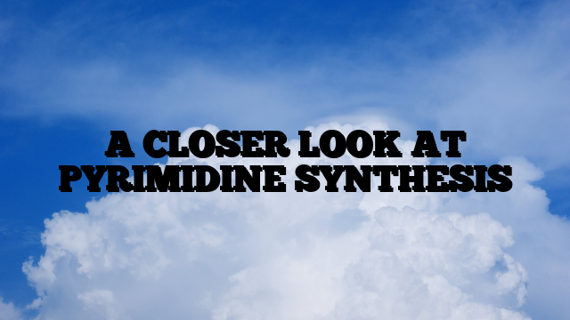 A CLOSER LOOK AT PYRIMIDINE SYNTHESIS