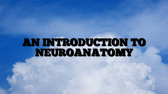AN INTRODUCTION TO NEUROANATOMY