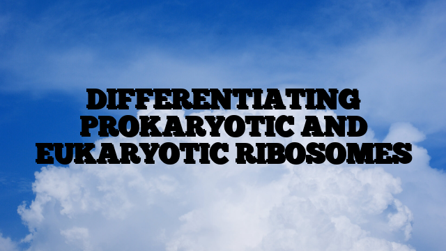 DIFFERENTIATING PROKARYOTIC AND EUKARYOTIC RIBOSOMES