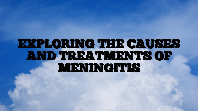 EXPLORING THE CAUSES AND TREATMENTS OF MENINGITIS