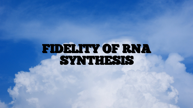 FIDELITY OF RNA SYNTHESIS