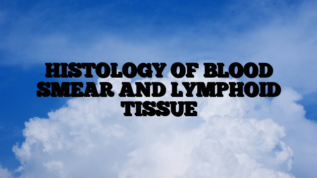 HISTOLOGY OF BLOOD SMEAR AND LYMPHOID TISSUE