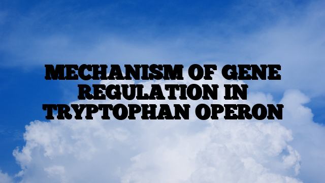 MECHANISM OF GENE REGULATION IN TRYPTOPHAN OPERON