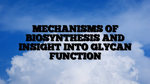 MECHANISMS OF BIOSYNTHESIS AND INSIGHT INTO GLYCAN FUNCTION