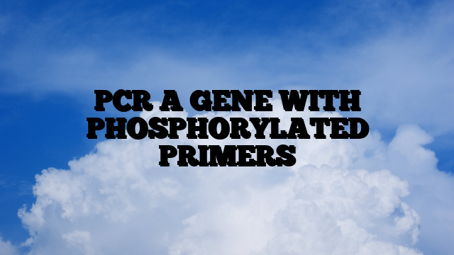 PCR A GENE WITH PHOSPHORYLATED PRIMERS
