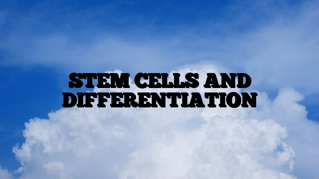 STEM CELLS AND DIFFERENTIATION