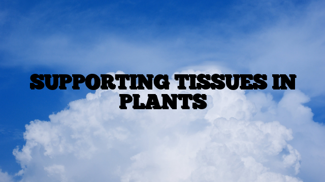 SUPPORTING TISSUES IN PLANTS