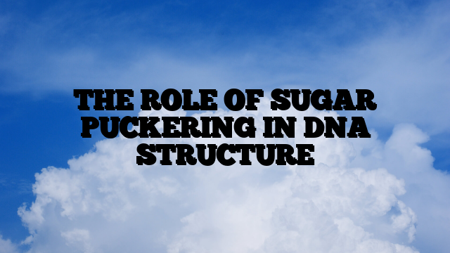 THE ROLE OF SUGAR PUCKERING IN DNA STRUCTURE