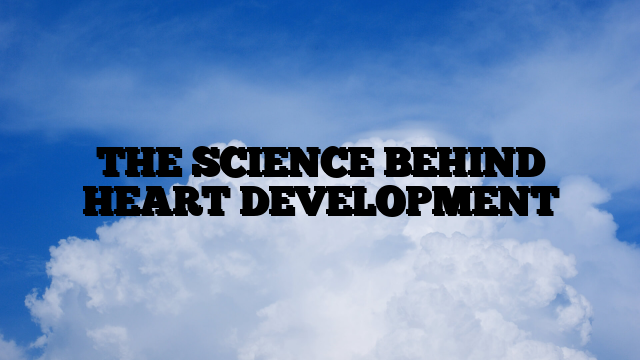 THE SCIENCE BEHIND HEART DEVELOPMENT
