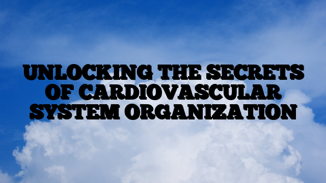 UNLOCKING THE SECRETS OF CARDIOVASCULAR SYSTEM ORGANIZATION
