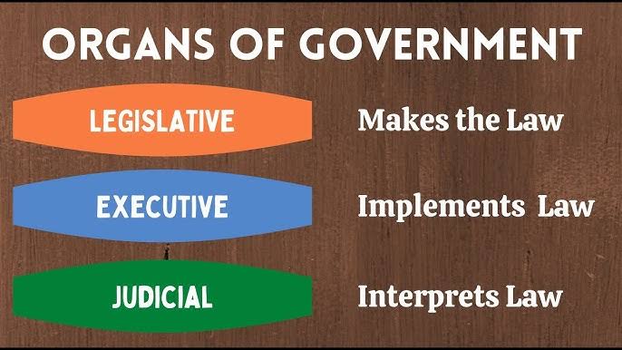 THE ORGANS OF GOVERNMENT EXPLAINED: EXECUTIVE, LEGISLATIVE, AND JUDICIAL